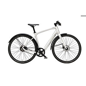 **ADRIATICA COMMUTING E-BIKE H.55