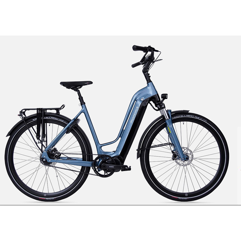 **MULTICYCLE LEGACY EMB D53