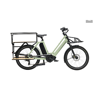 **ADRIATICA CARGO LONGTAIL 24" E-BIKE GREEN