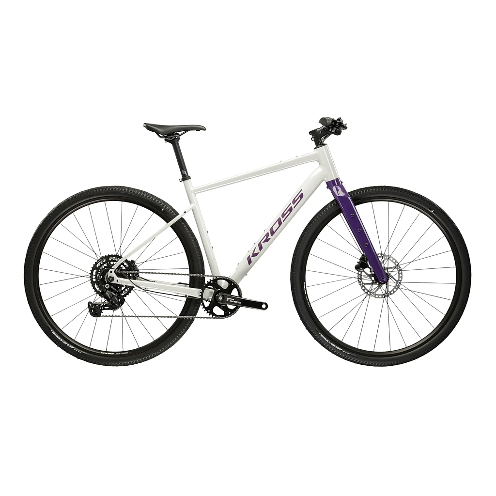KROSS ESKER 1.0 FL GRAVEL BIKE S (18") GREY/PURPLE/GLOSSY